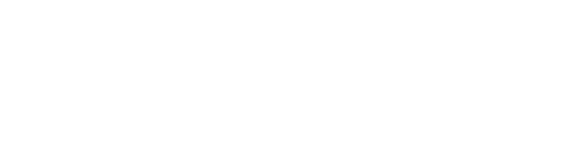 伸びやかに拡がる輝き